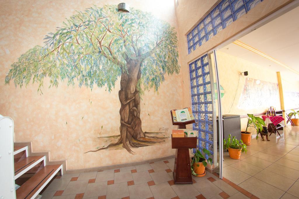 Hotel Los Sauces 오악스테펙 외부 사진